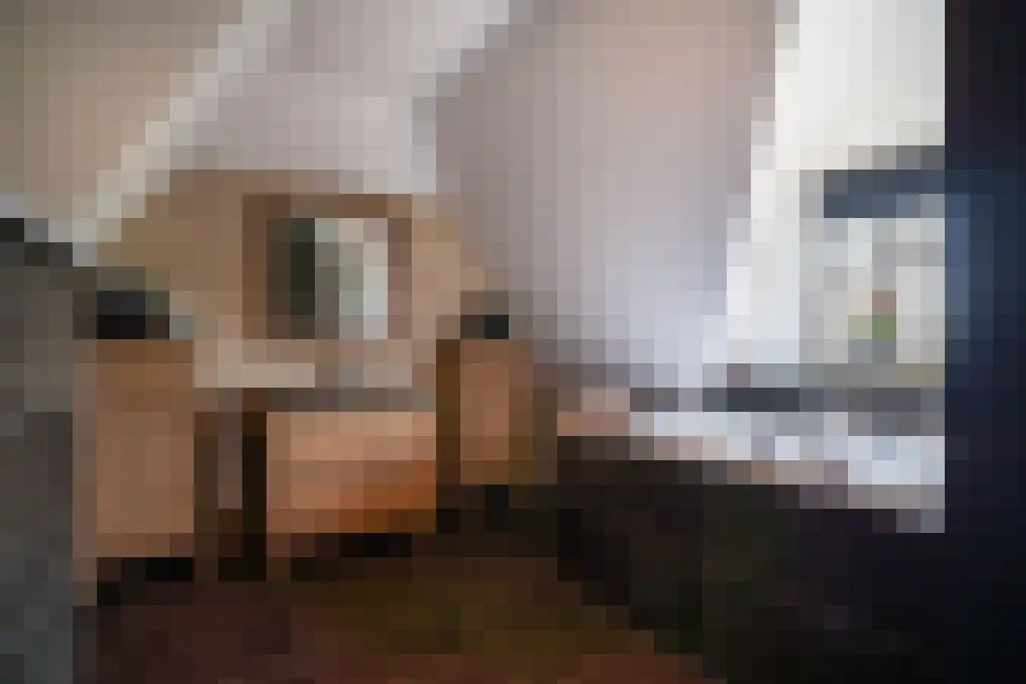 Doornweg 6 b Rockanje thumbnail 29