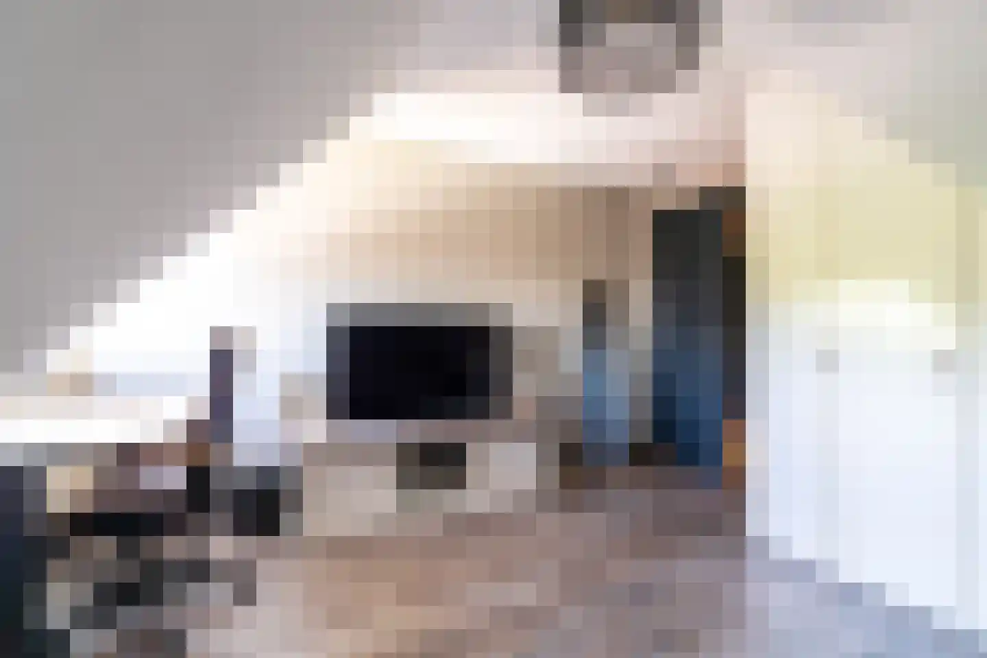Doornweg 6 b Rockanje thumbnail 34