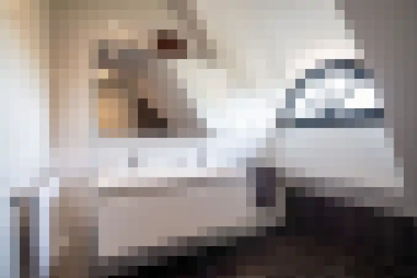 Doornweg 6 b Rockanje thumbnail 43