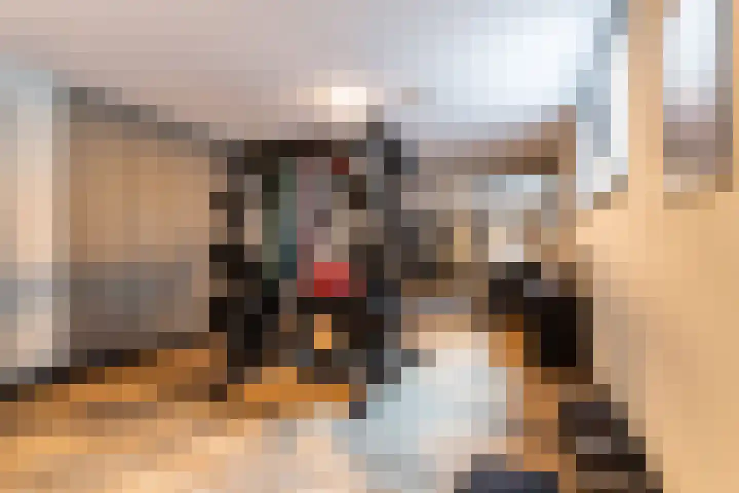 Doornweg 6 b Rockanje thumbnail 52