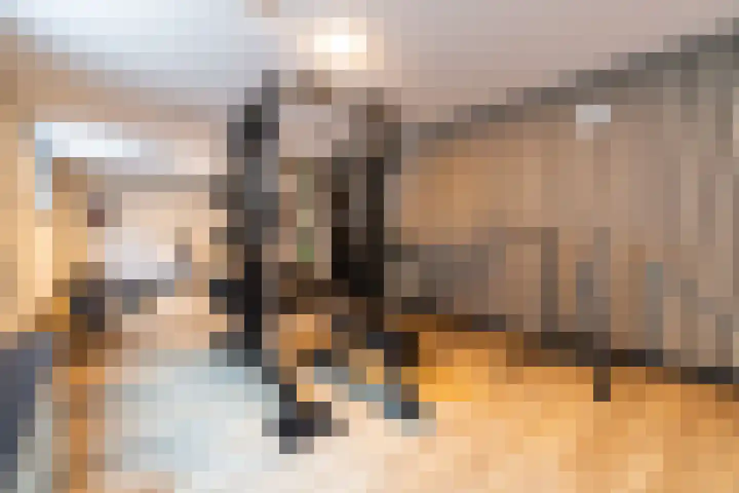 Doornweg 6 b Rockanje thumbnail 53