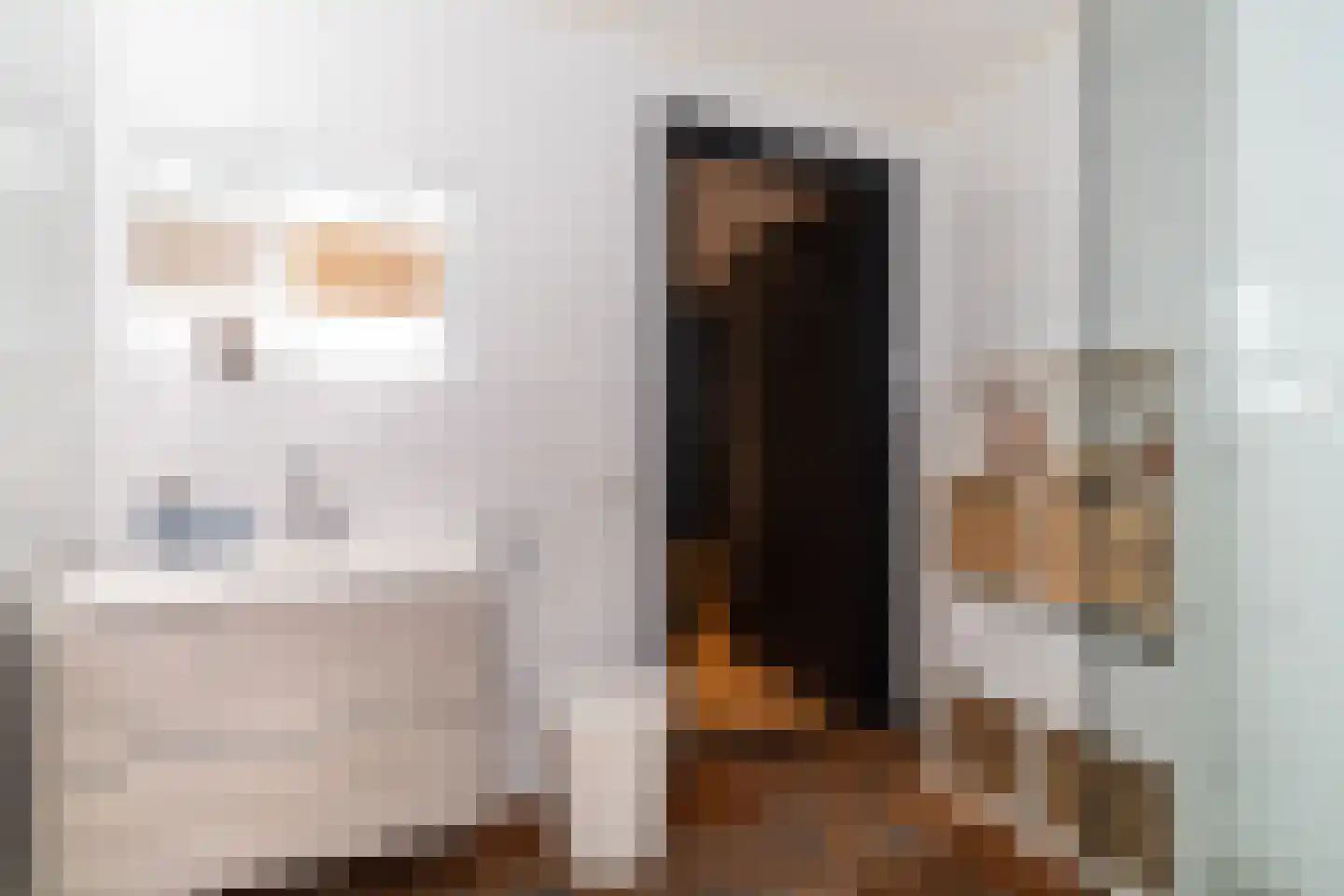 Doornweg 6 b Rockanje thumbnail 55