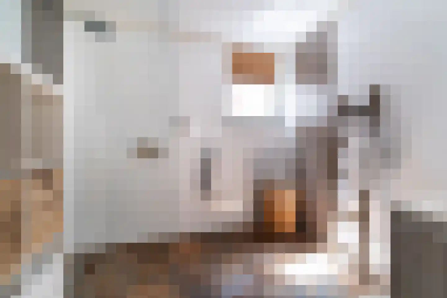 Doornweg 6 b Rockanje thumbnail 56