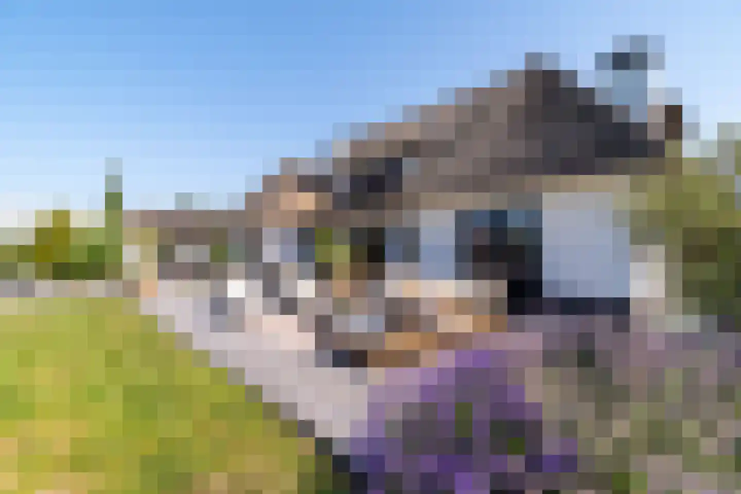 Doornweg 6 b Rockanje thumbnail 65