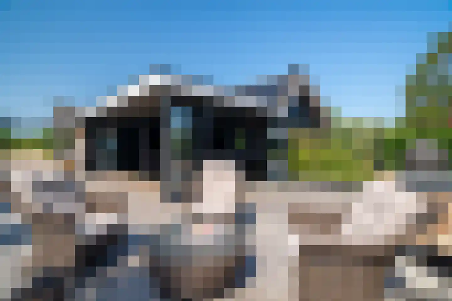 Doornweg 6 b Rockanje thumbnail 73