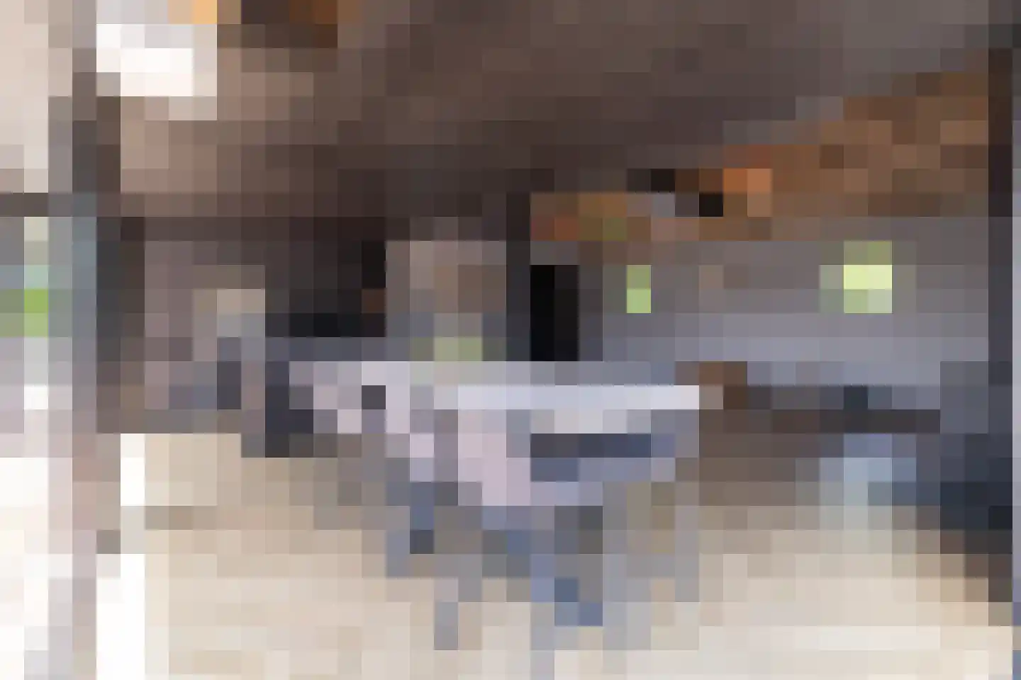 Doornweg 6 b Rockanje thumbnail 74