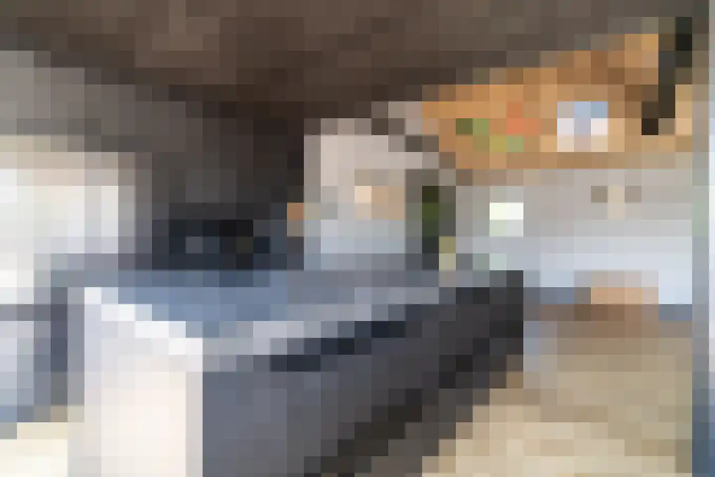 Doornweg 6 b Rockanje thumbnail 77