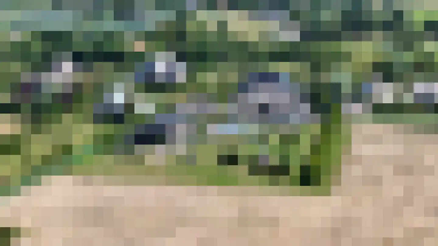Doornweg 6 b Rockanje thumbnail 96
