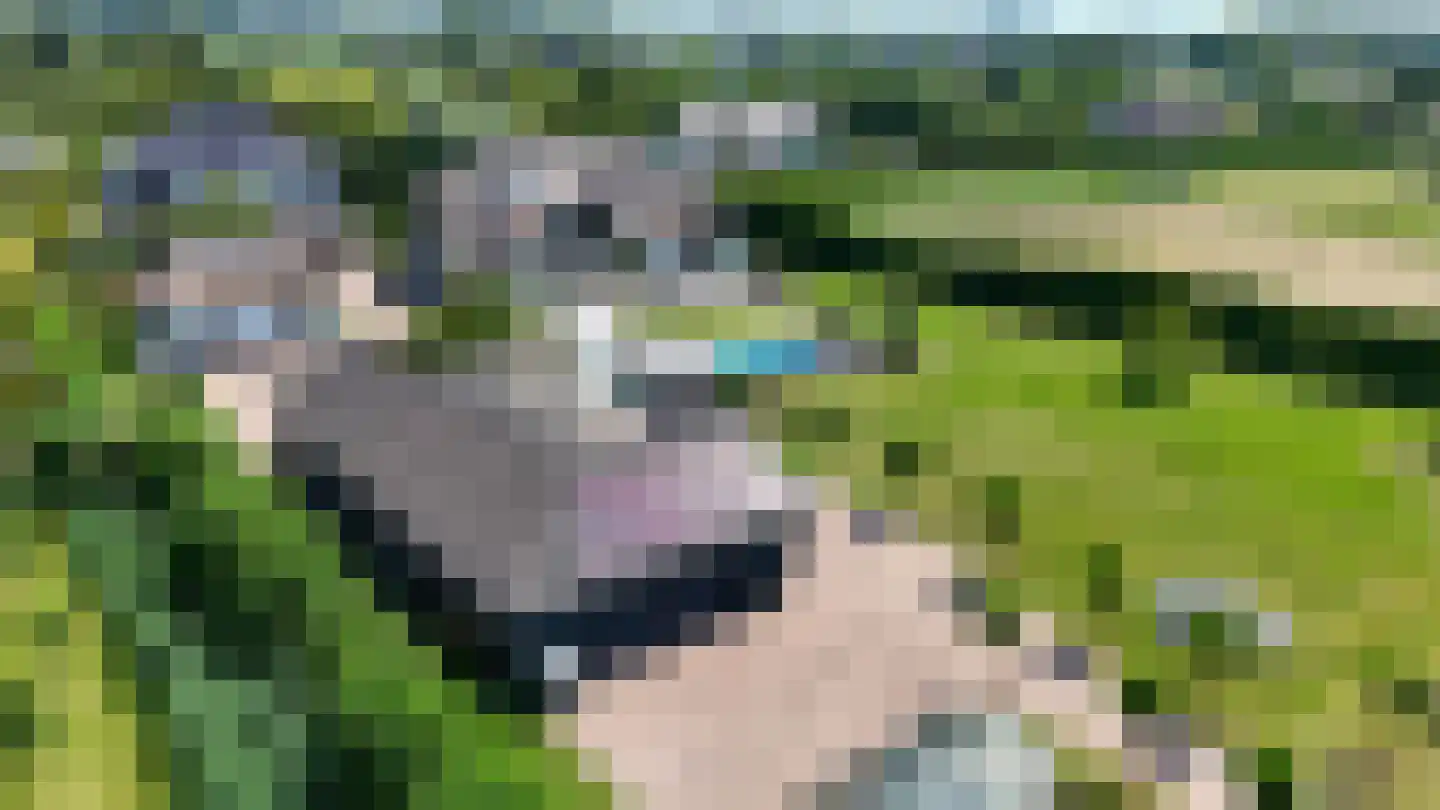 Doornweg 6 b Rockanje thumbnail 97