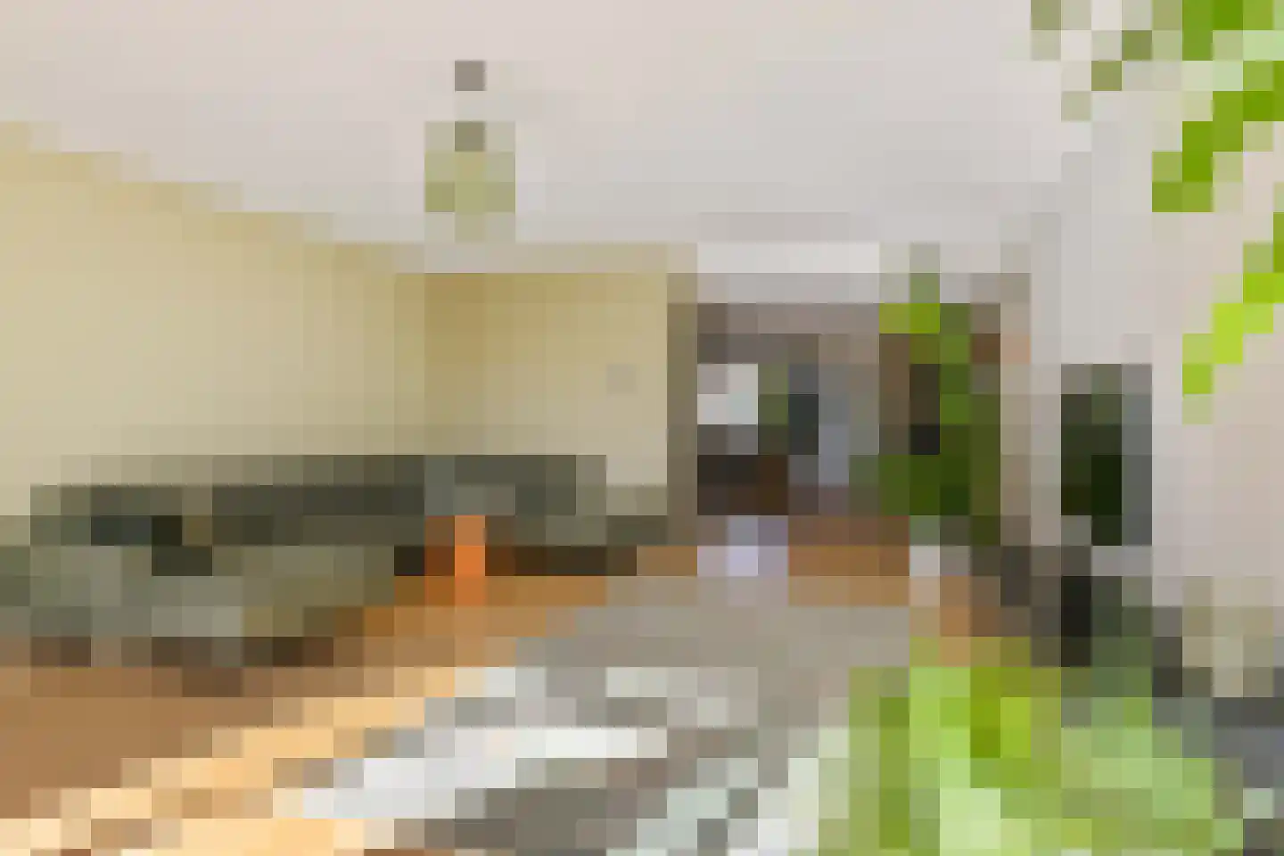 Doorrid 8 Haren Gn thumbnail 16