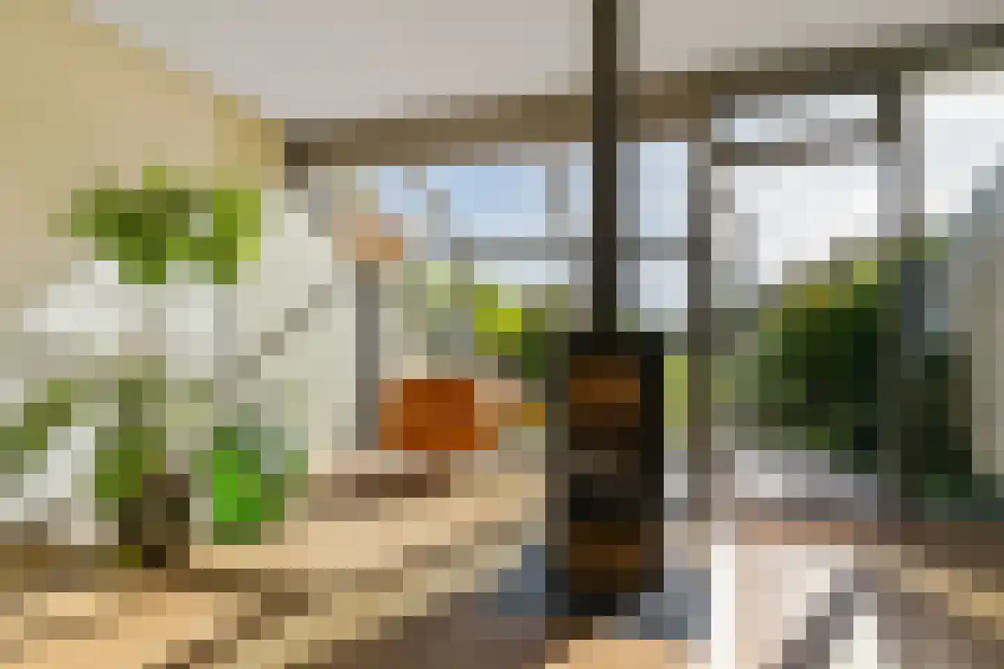 Doorrid 8 Haren Gn thumbnail 17