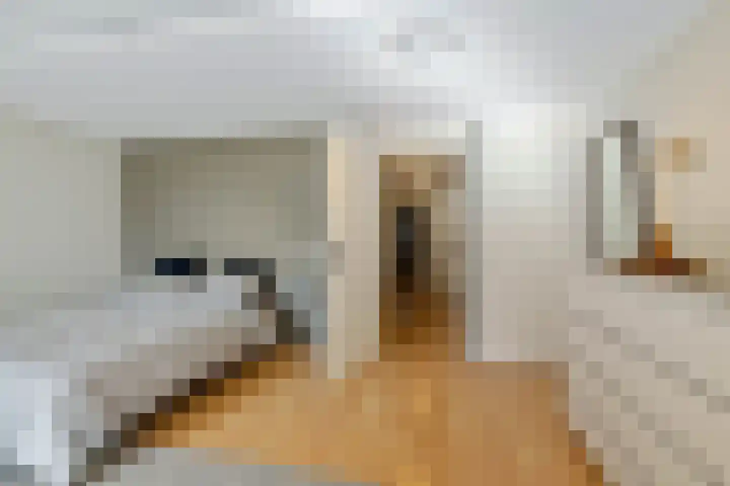 Doorrid 8 Haren Gn thumbnail 24