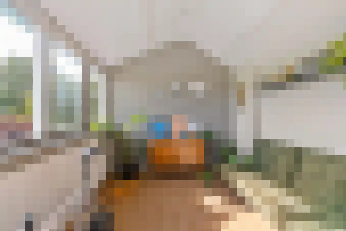 Doorrid 8 Haren Gn thumbnail 38