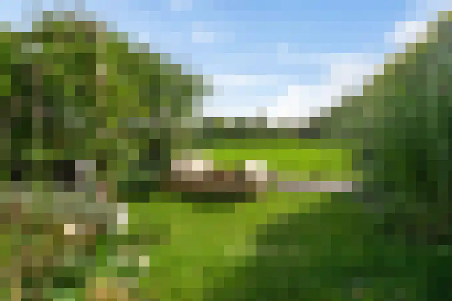 Doorrid 8 Haren Gn thumbnail 4