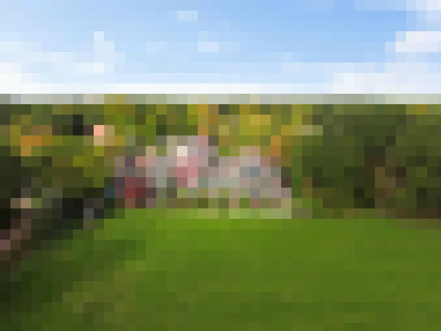Doorrid 8 Haren Gn thumbnail 40