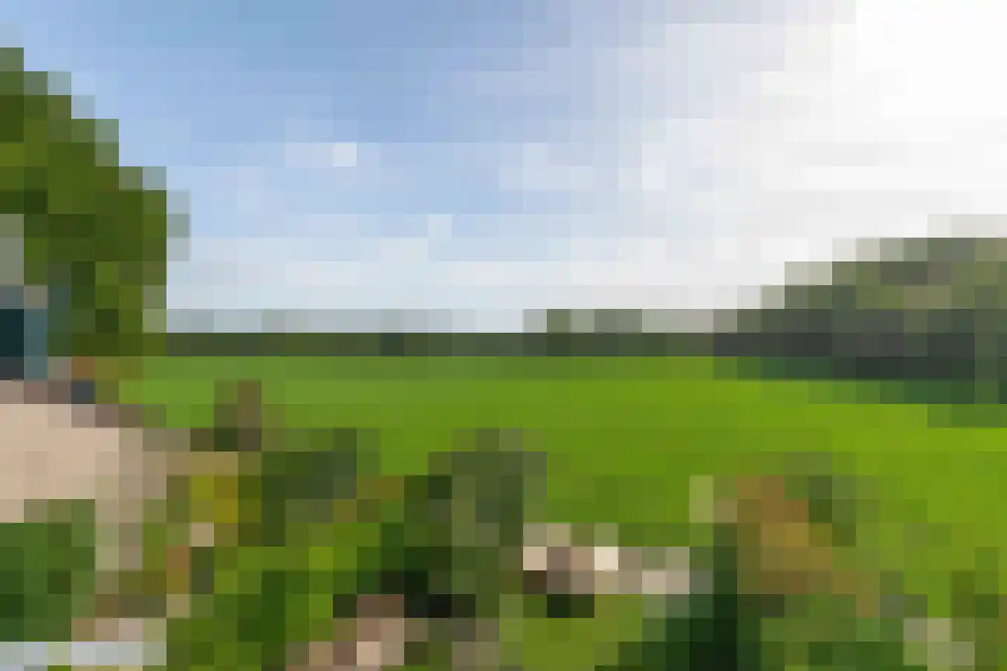 Doorrid 8 Haren Gn thumbnail 43