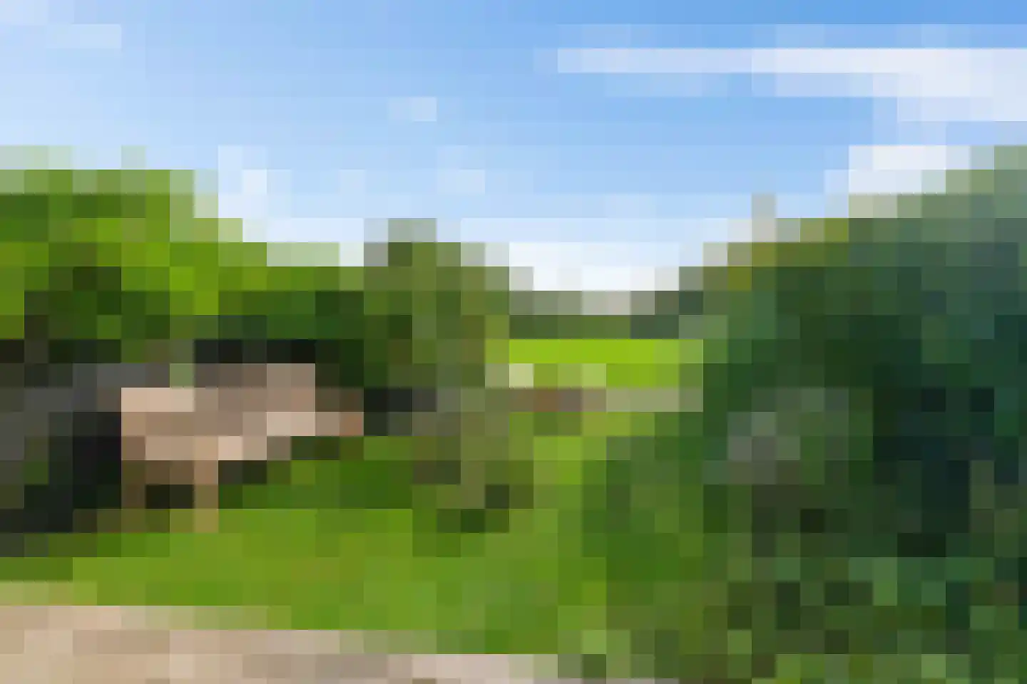 Doorrid 8 Haren Gn thumbnail 44