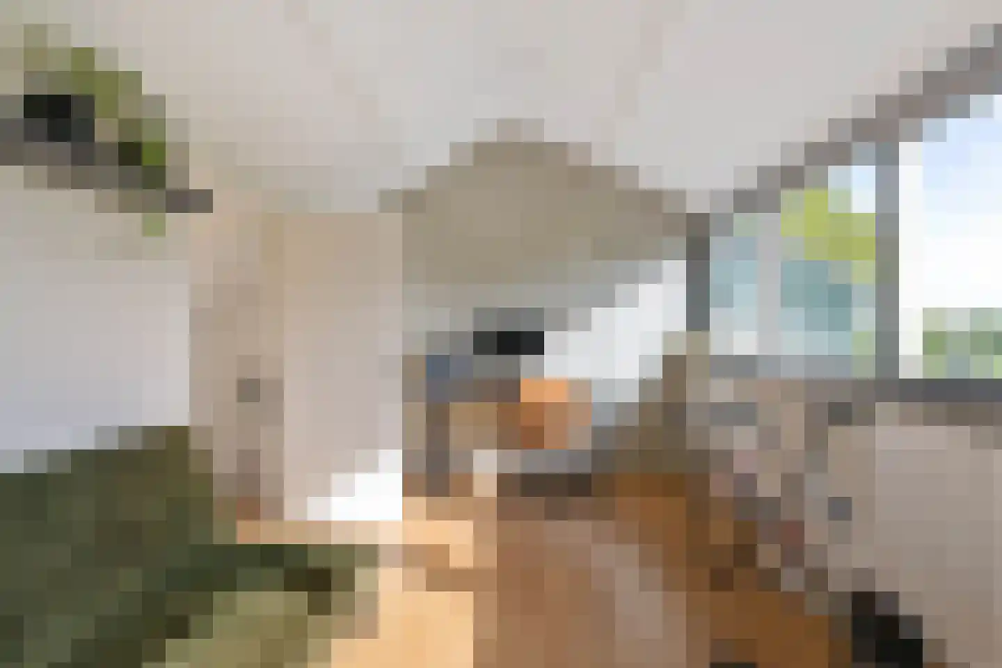 Doorrid 8 Haren Gn thumbnail 7