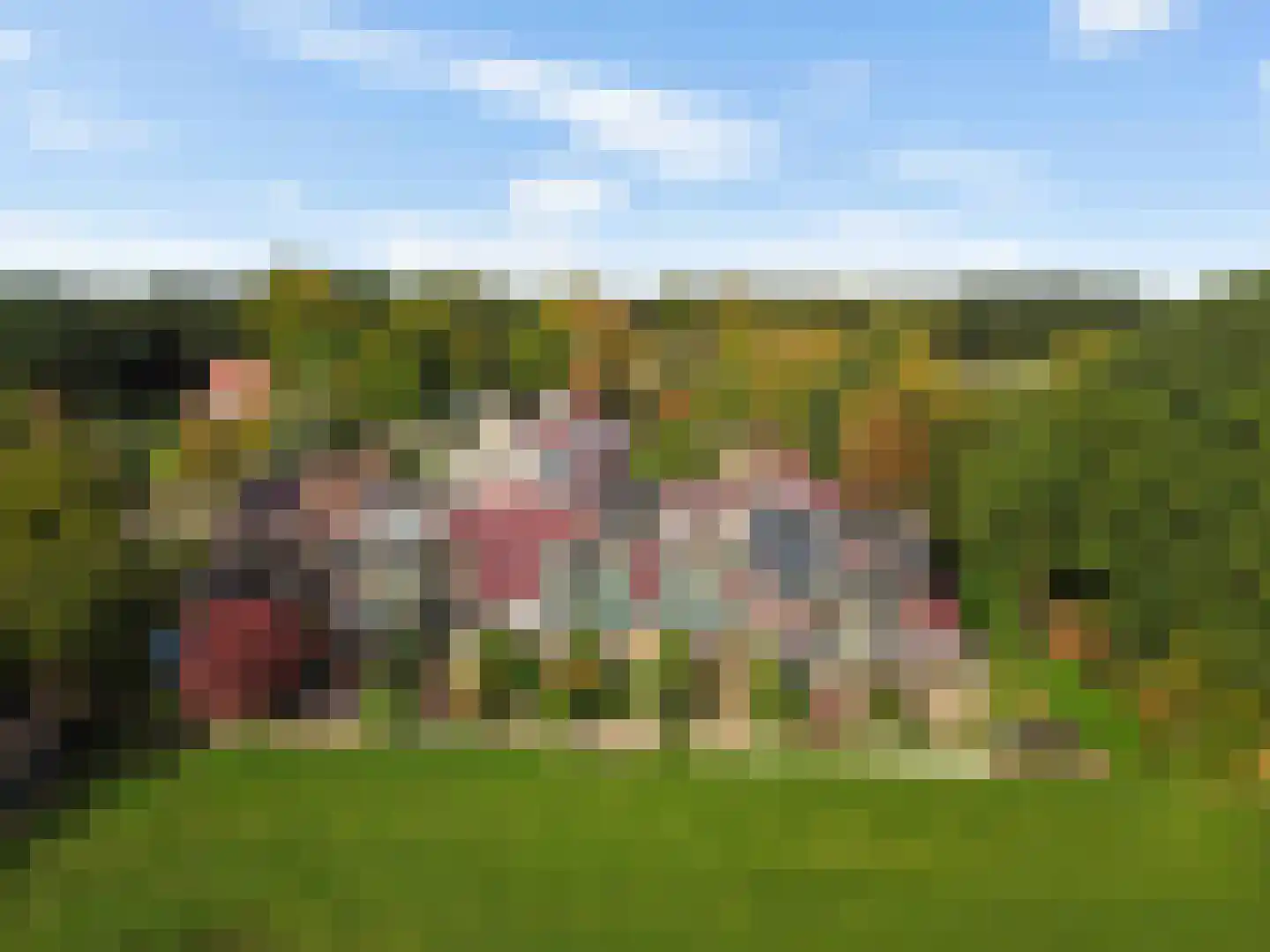 Doorrid 8 Haren Gn thumbnail 8