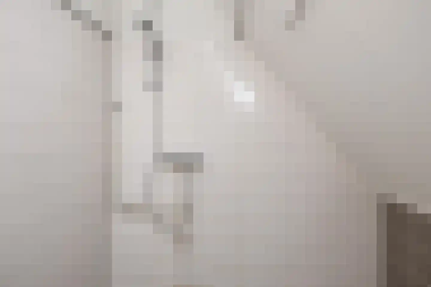 Doorsneeweg 11 Nieuwe Pekela thumbnail 12