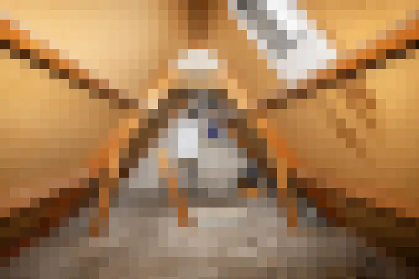 Doorsneeweg 11 Nieuwe Pekela thumbnail 14