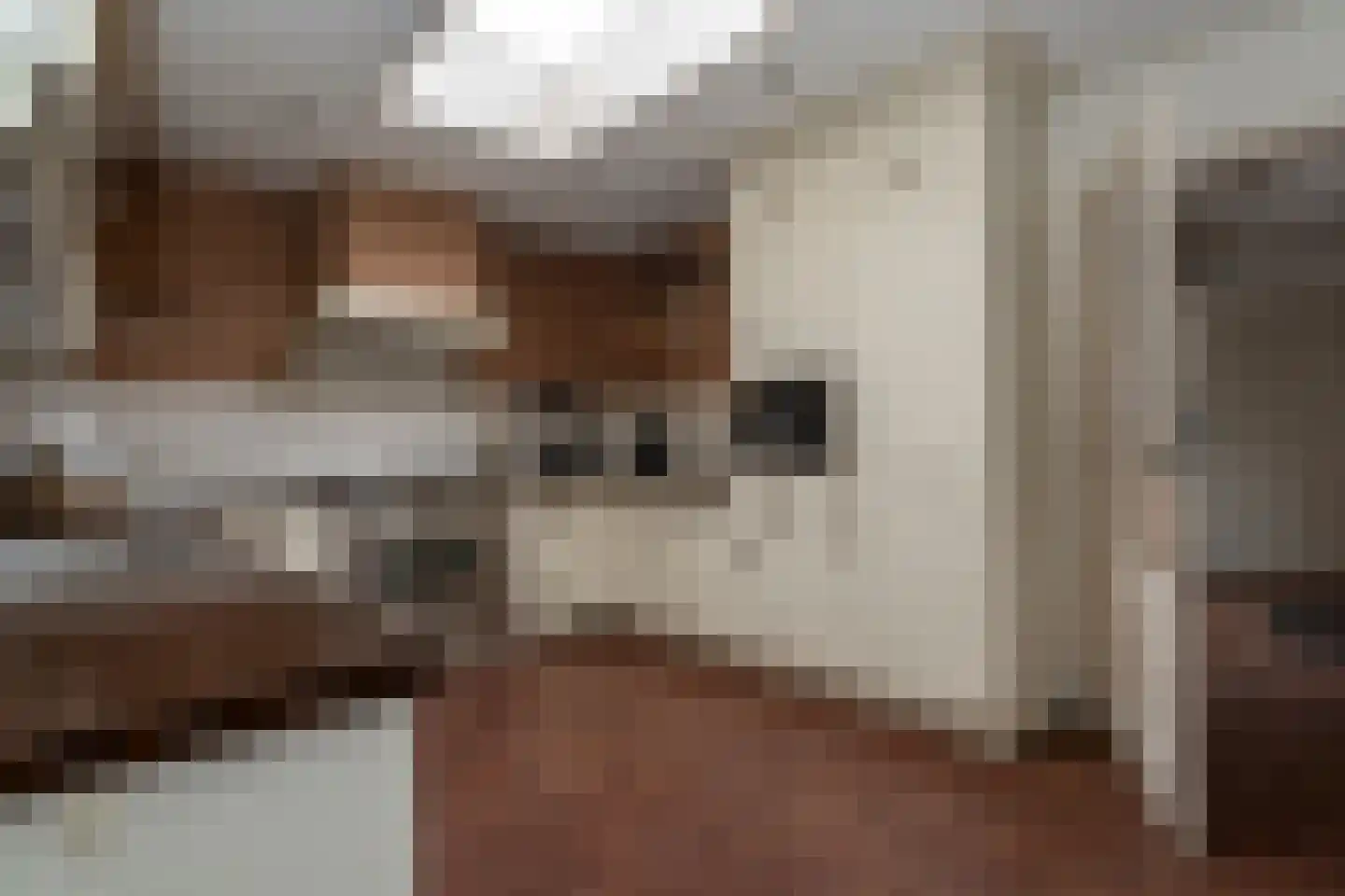 Doorsneeweg 33 Nieuwe Pekela thumbnail 13