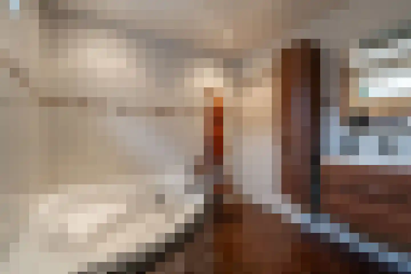 Doorsneeweg 33 Nieuwe Pekela thumbnail 21