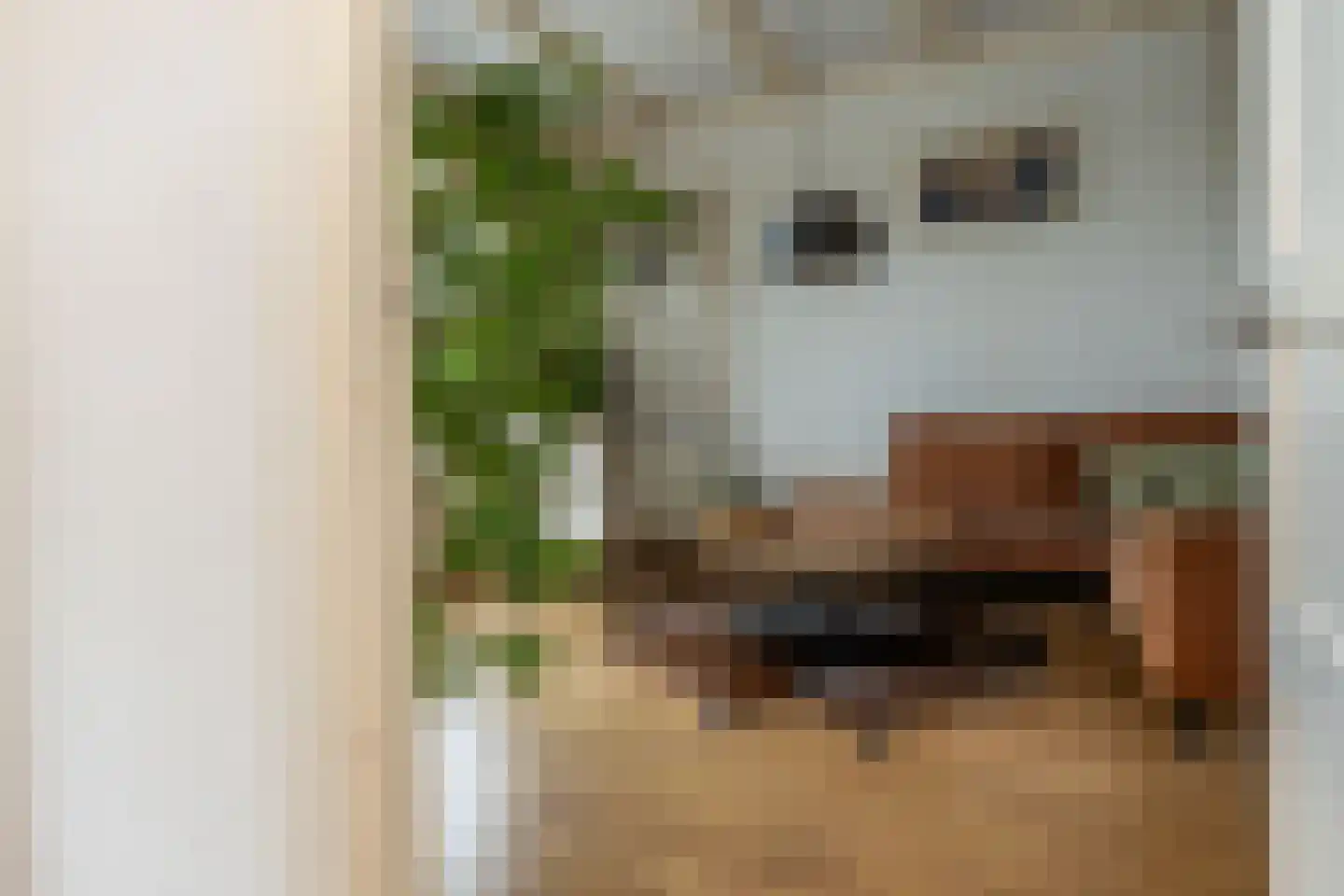 Doorsneeweg 33 Nieuwe Pekela thumbnail 28