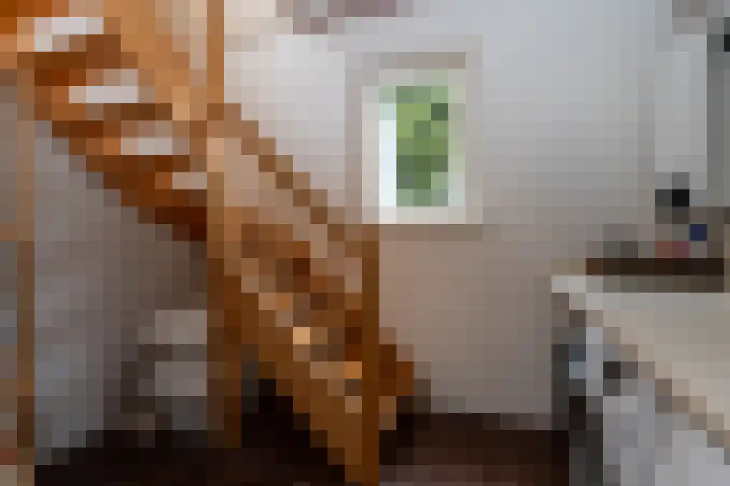 Doorsneeweg 33 Nieuwe Pekela thumbnail 29