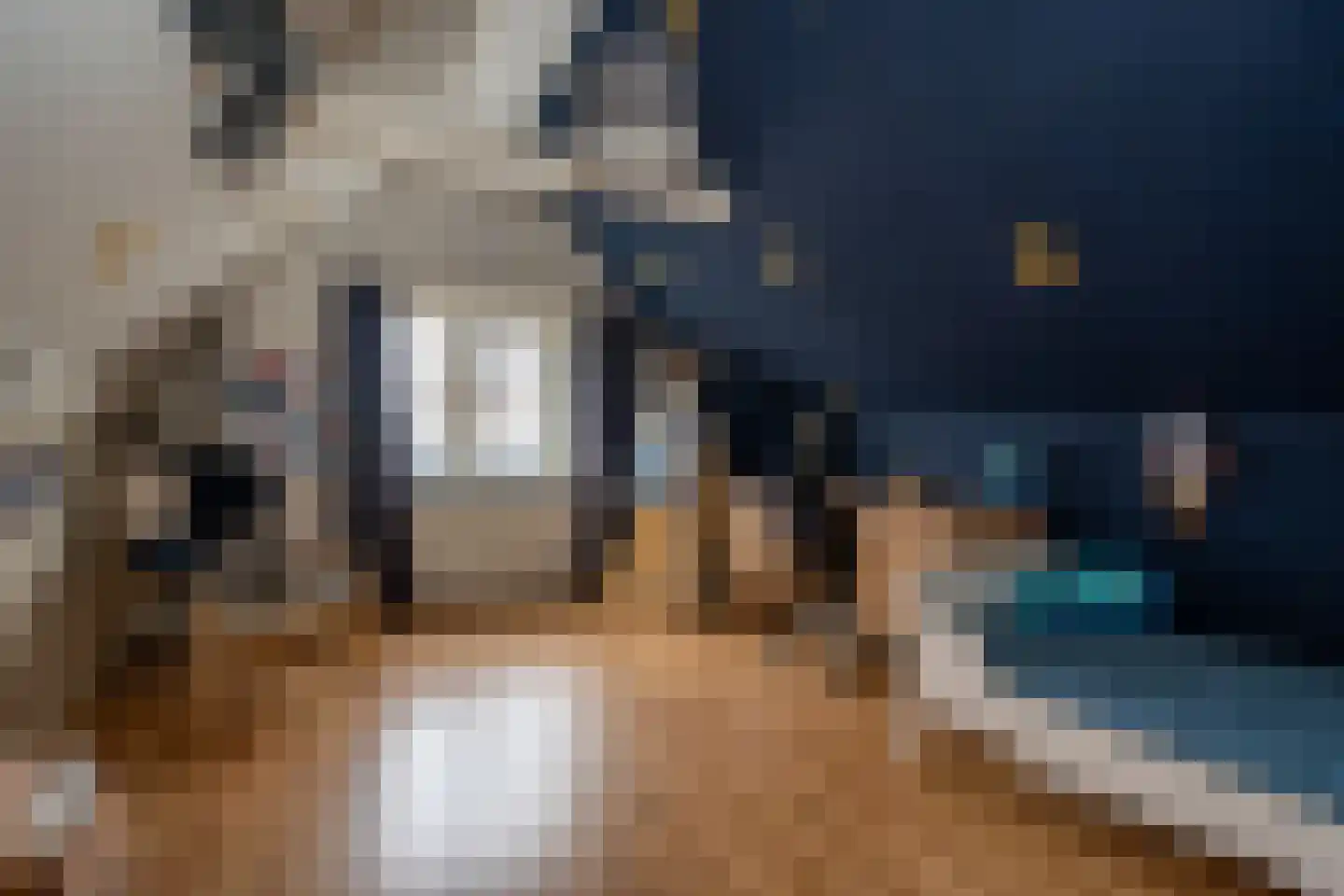 Doorsneeweg 33 Nieuwe Pekela thumbnail 32