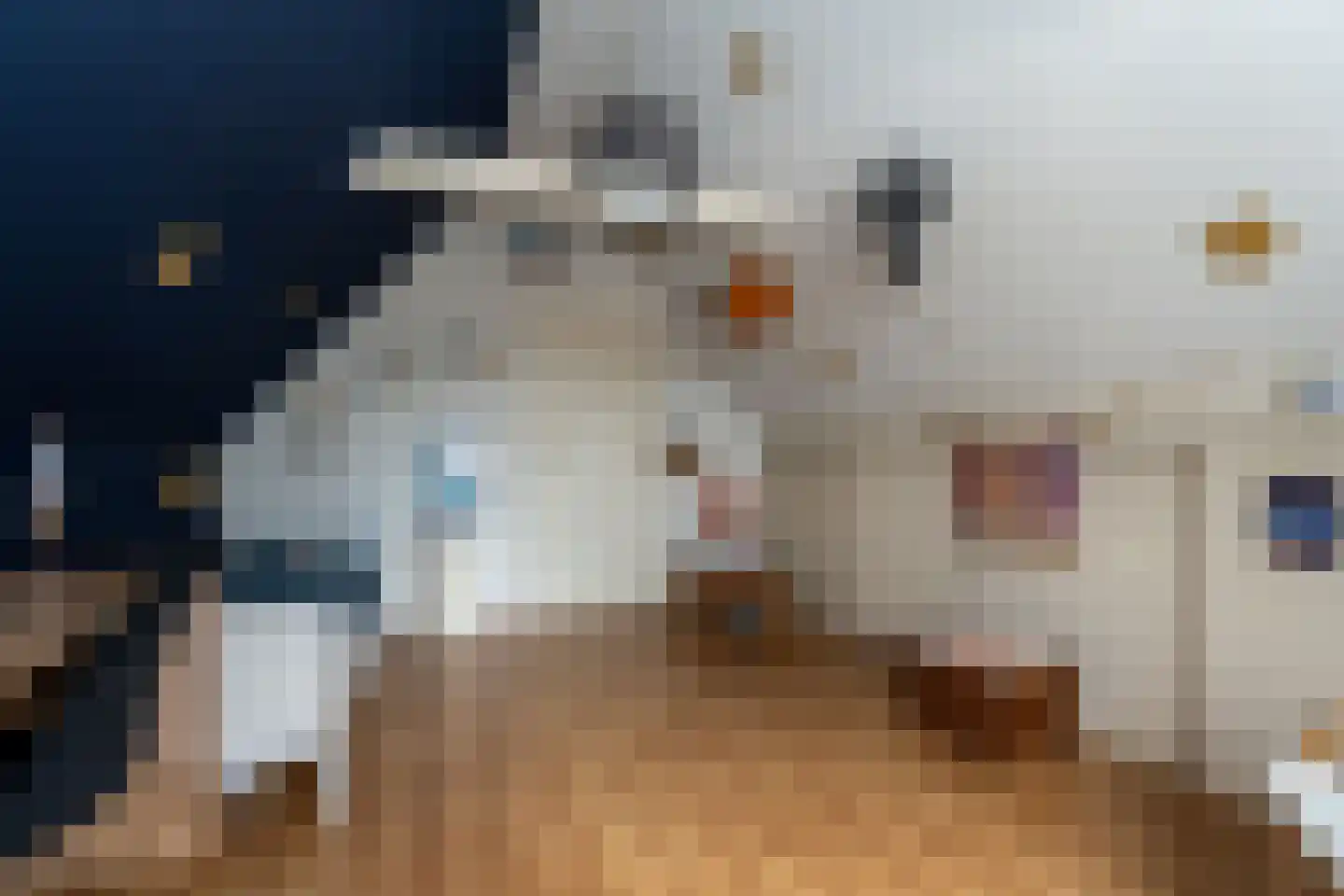Doorsneeweg 33 Nieuwe Pekela thumbnail 33