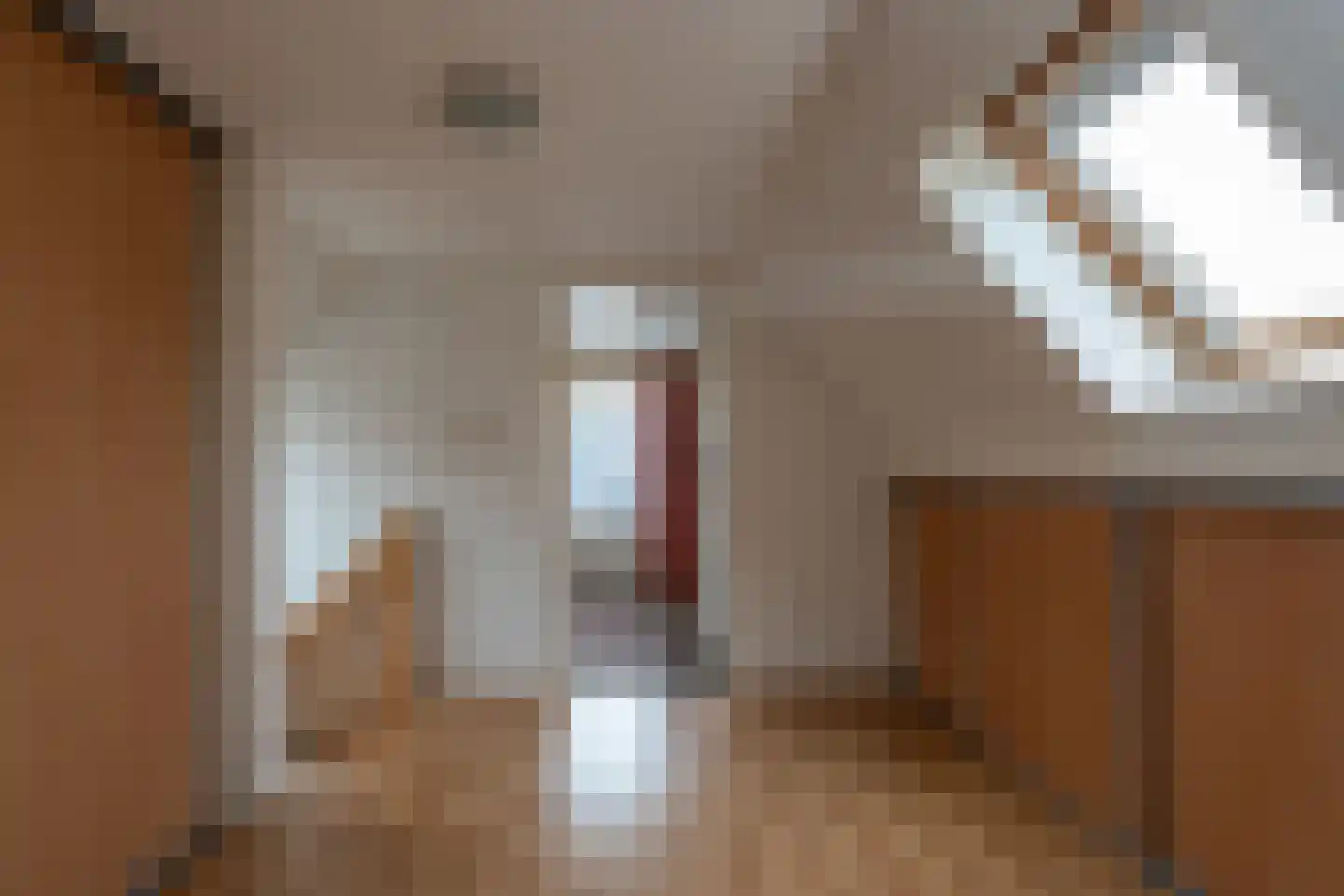 Doorsneeweg 33 Nieuwe Pekela thumbnail 34
