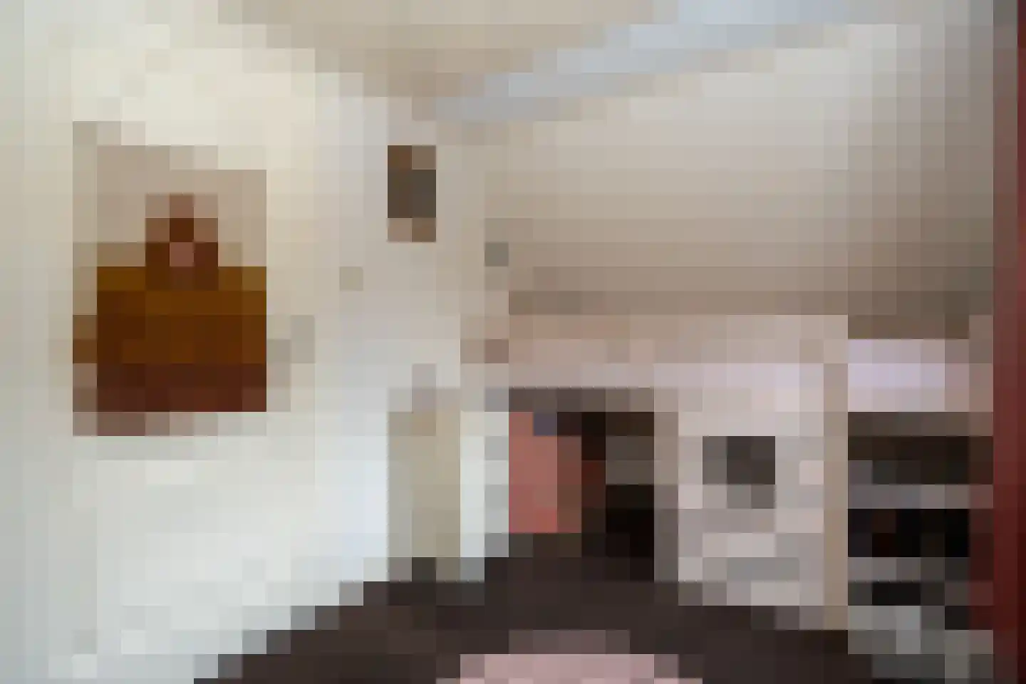 Doorsneeweg 33 Nieuwe Pekela thumbnail 36