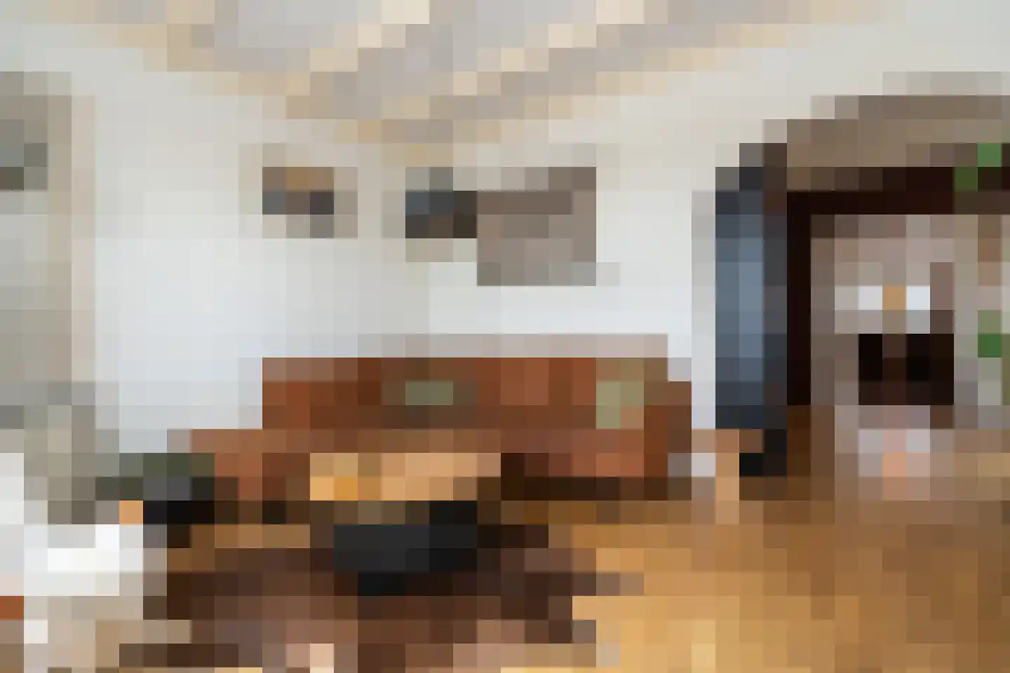 Doorsneeweg 33 Nieuwe Pekela thumbnail 4