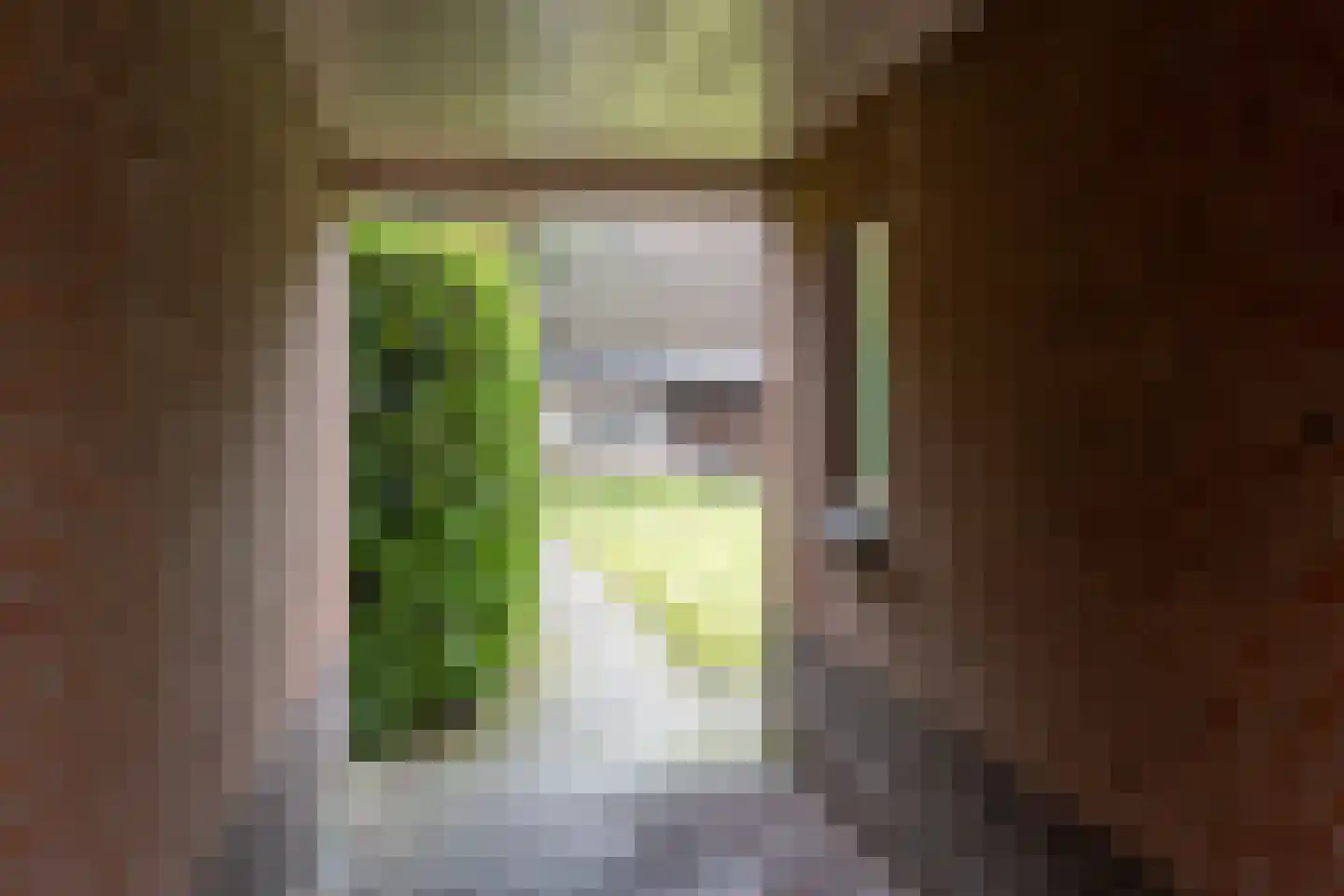 Doorsneeweg 33 Nieuwe Pekela thumbnail 42