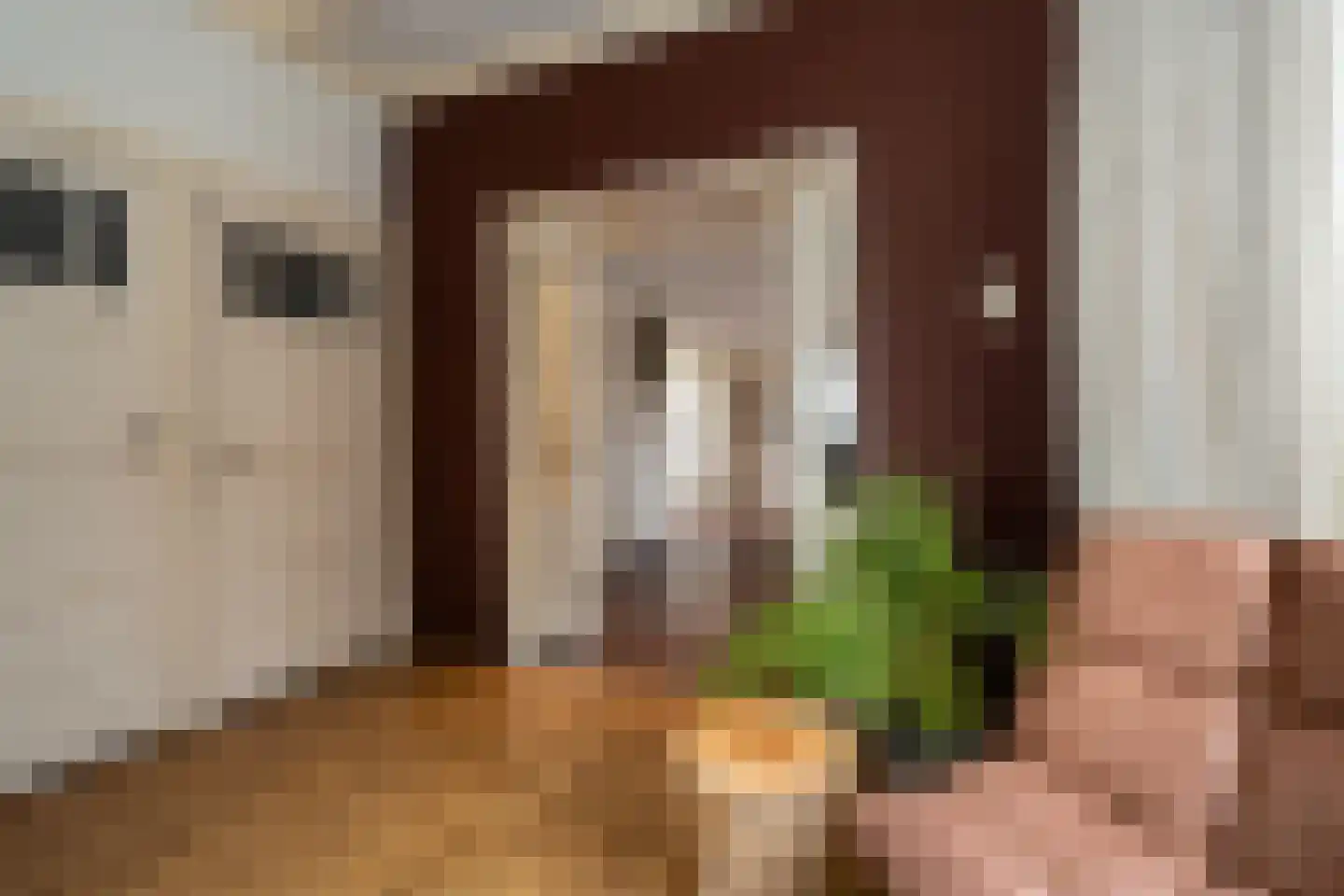 Doorsneeweg 33 Nieuwe Pekela thumbnail 8