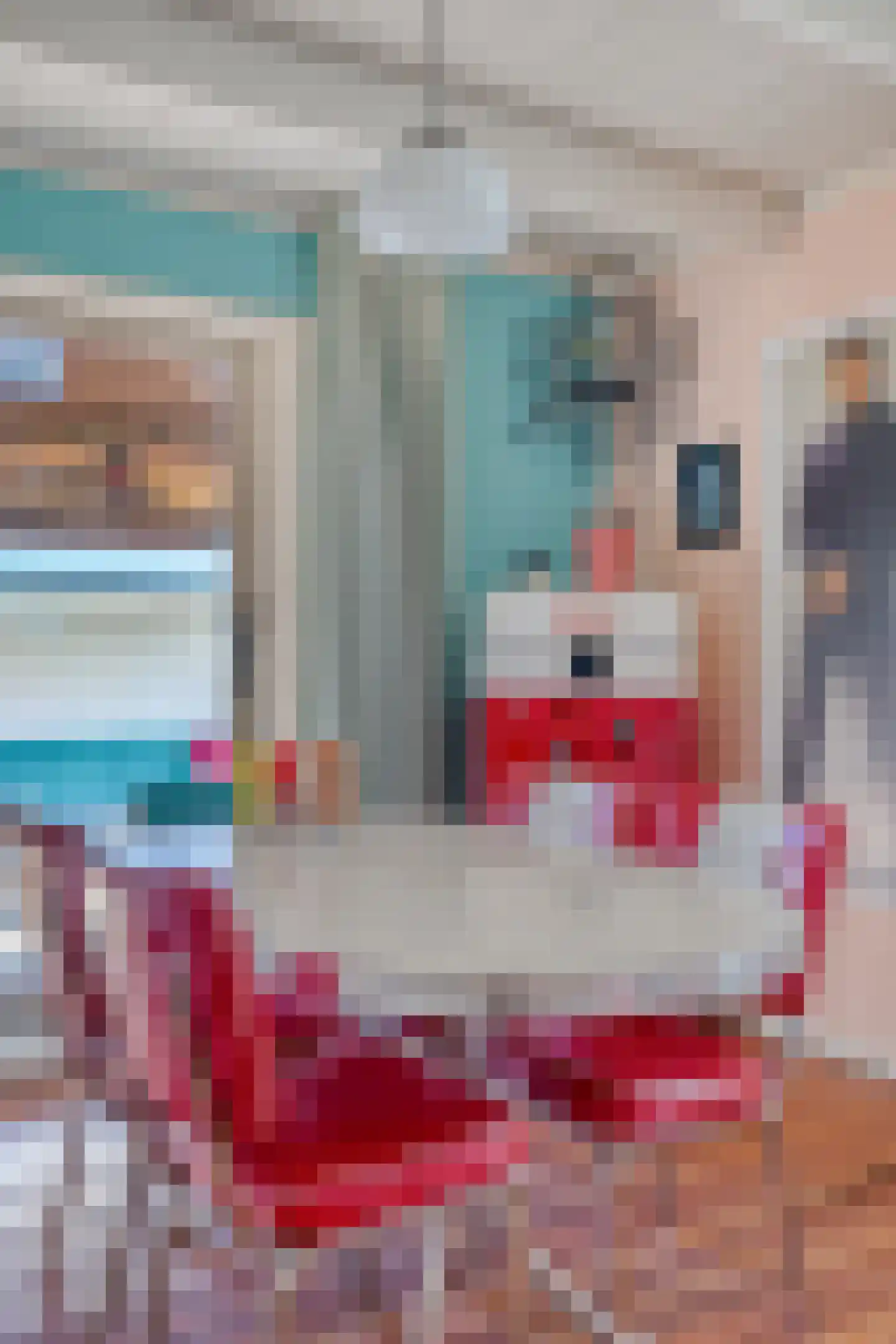 Doorsneeweg 34 Nieuwe Pekela thumbnail 22
