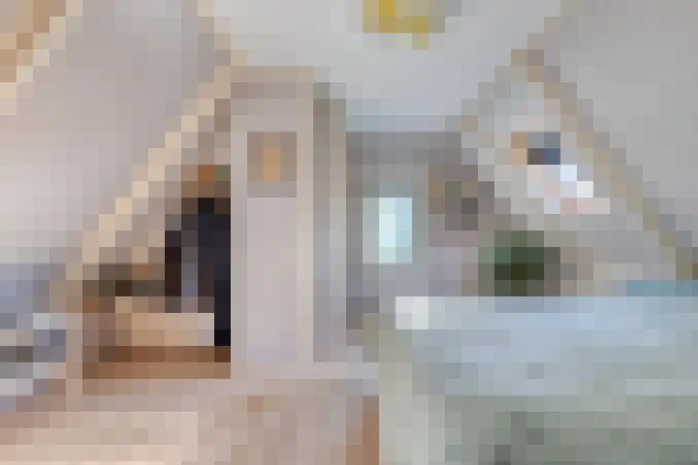 Doorsneeweg 34 Nieuwe Pekela thumbnail 28