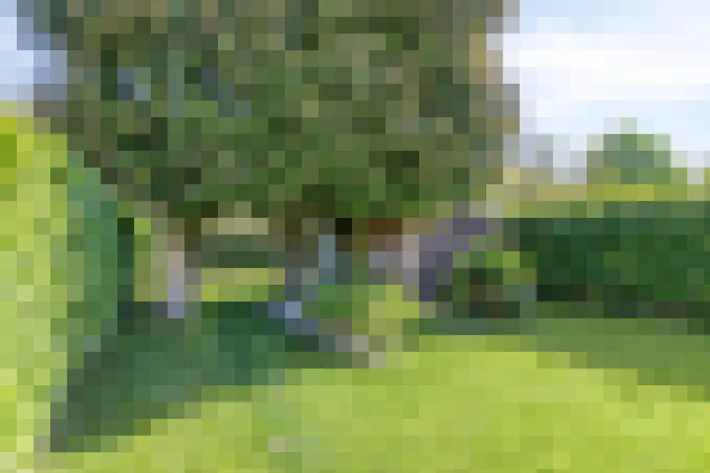 Doorsneeweg 34 Nieuwe Pekela thumbnail 51