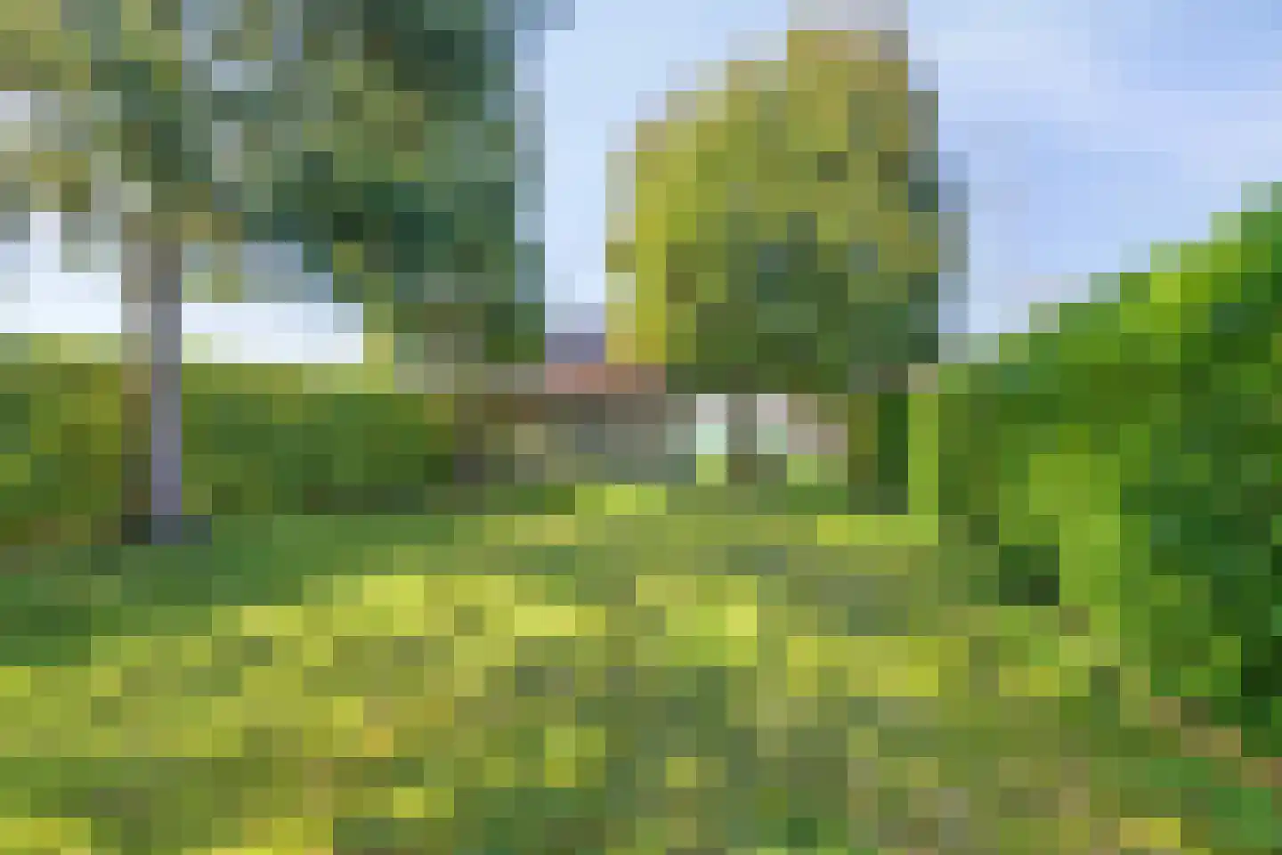 Doorsneeweg 34 Nieuwe Pekela thumbnail 52