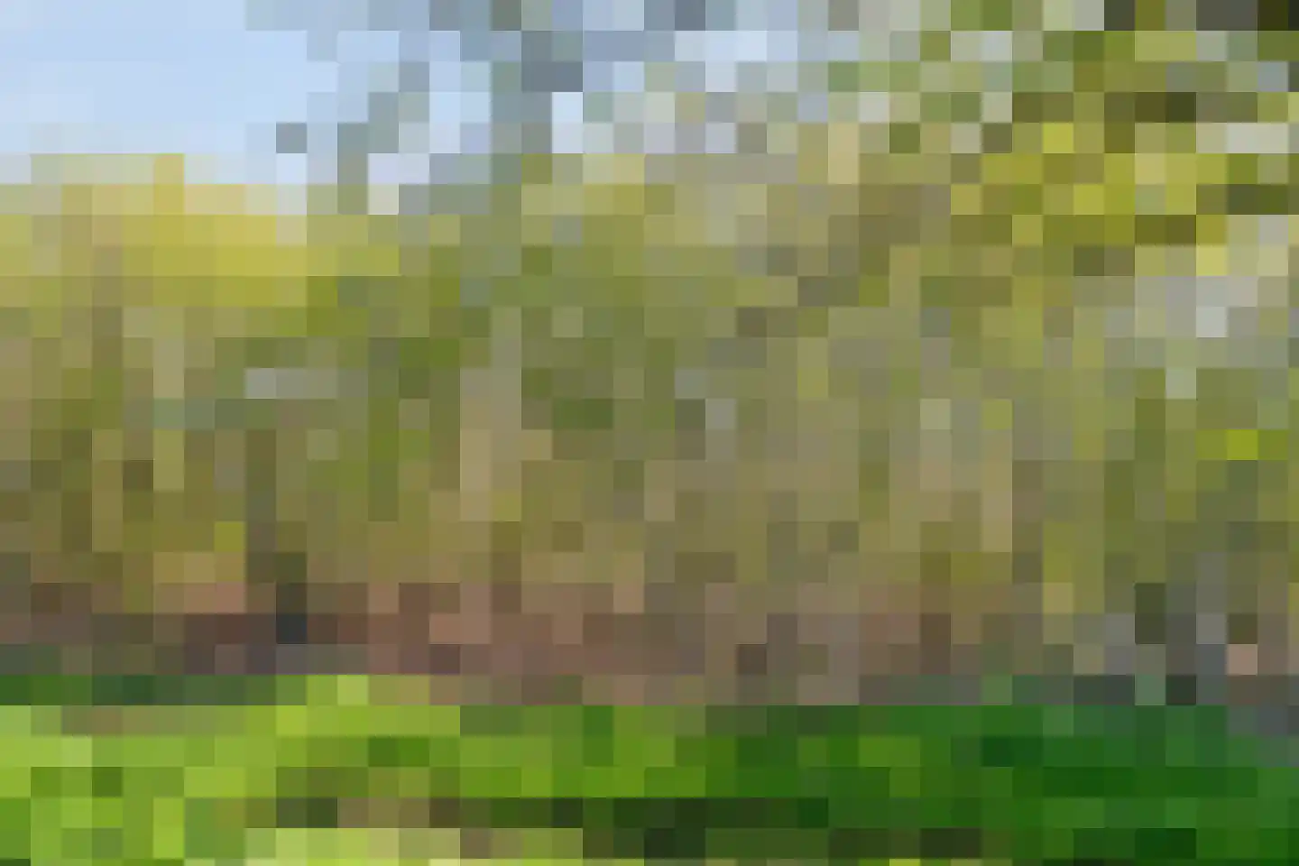 Doorsneeweg 34 Nieuwe Pekela thumbnail 58