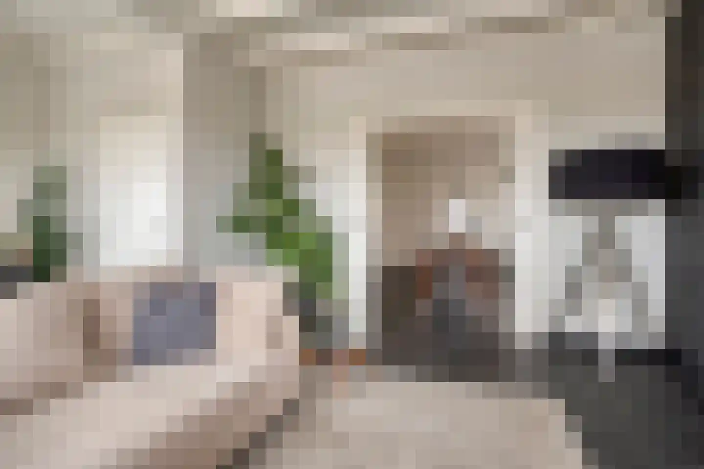 Doorsneeweg 35 Nieuwe Pekela thumbnail 13
