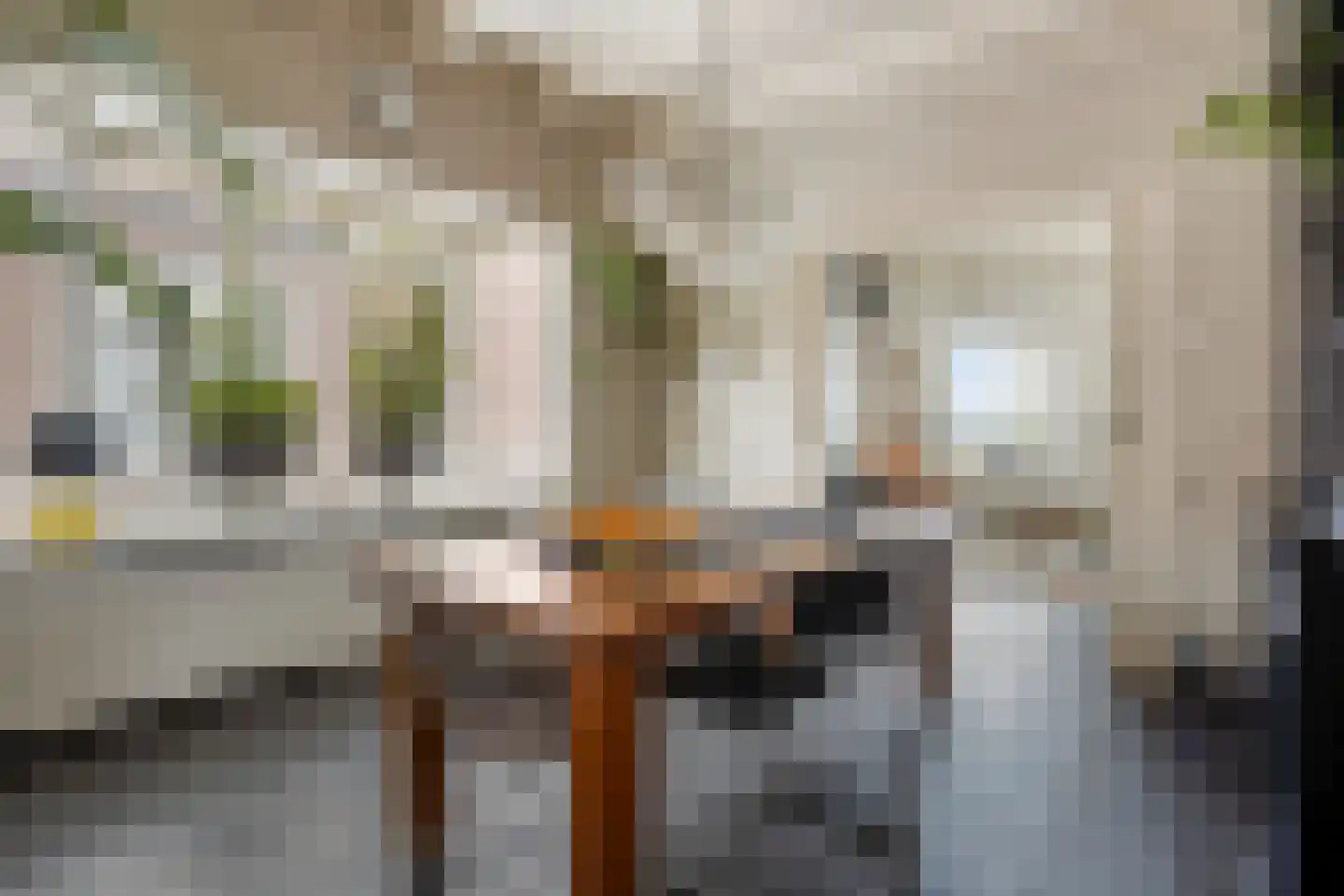 Doorsneeweg 35 Nieuwe Pekela thumbnail 17