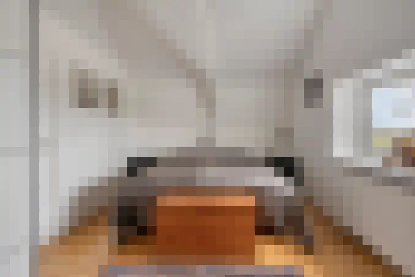 Doorsneeweg 35 Nieuwe Pekela thumbnail 24