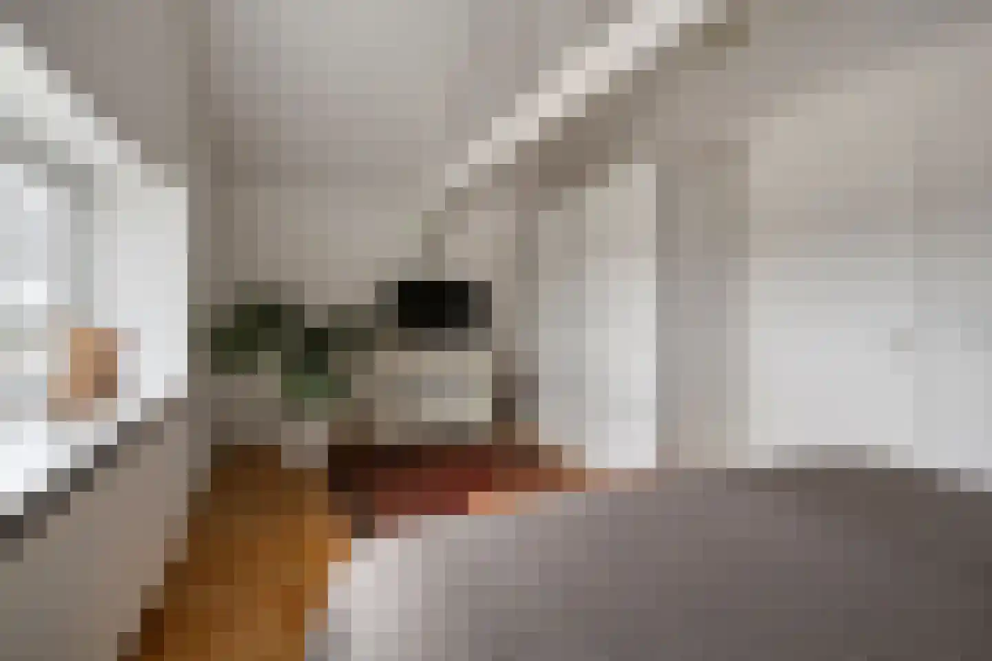 Doorsneeweg 35 Nieuwe Pekela thumbnail 25