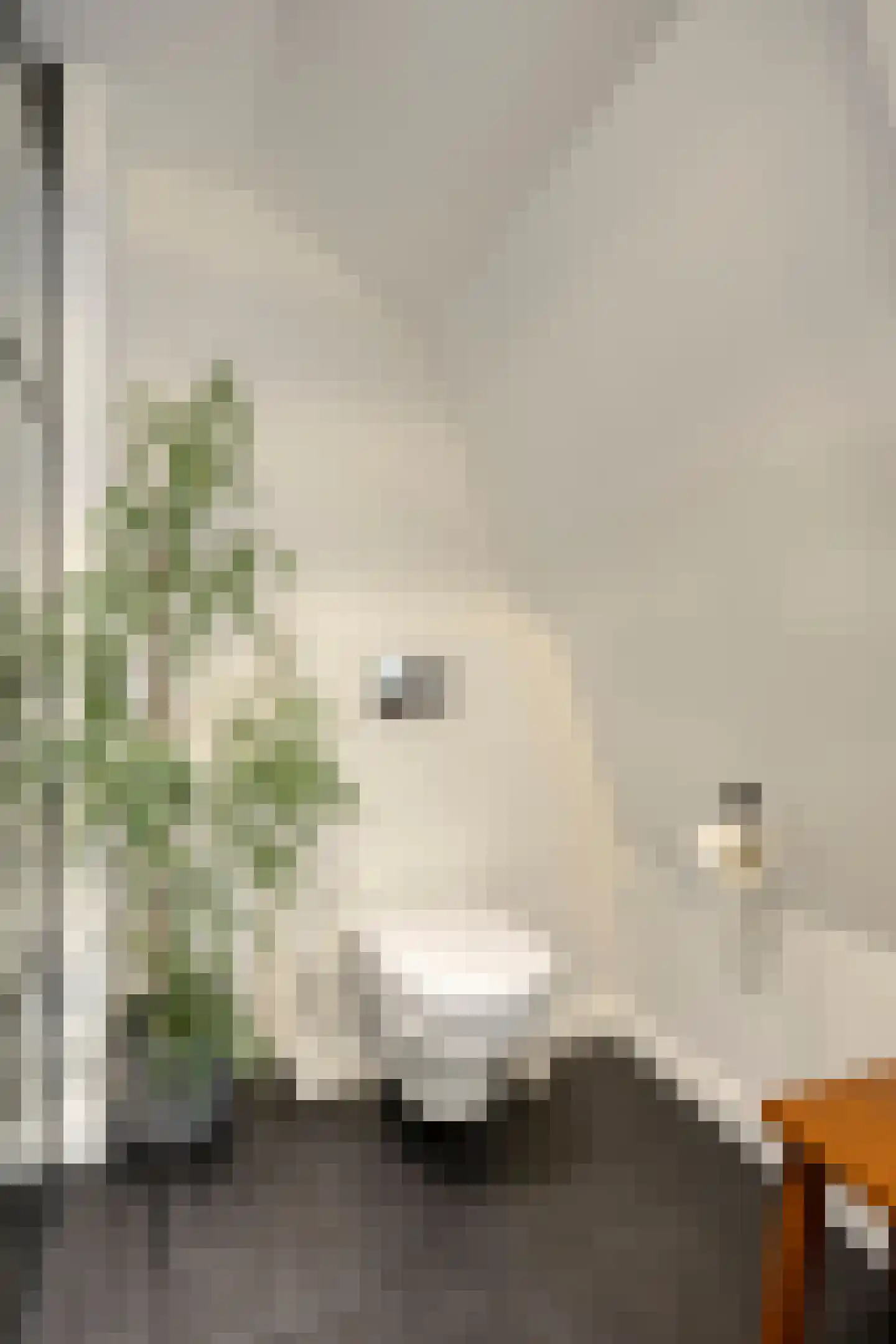 Doorsneeweg 35 Nieuwe Pekela thumbnail 28