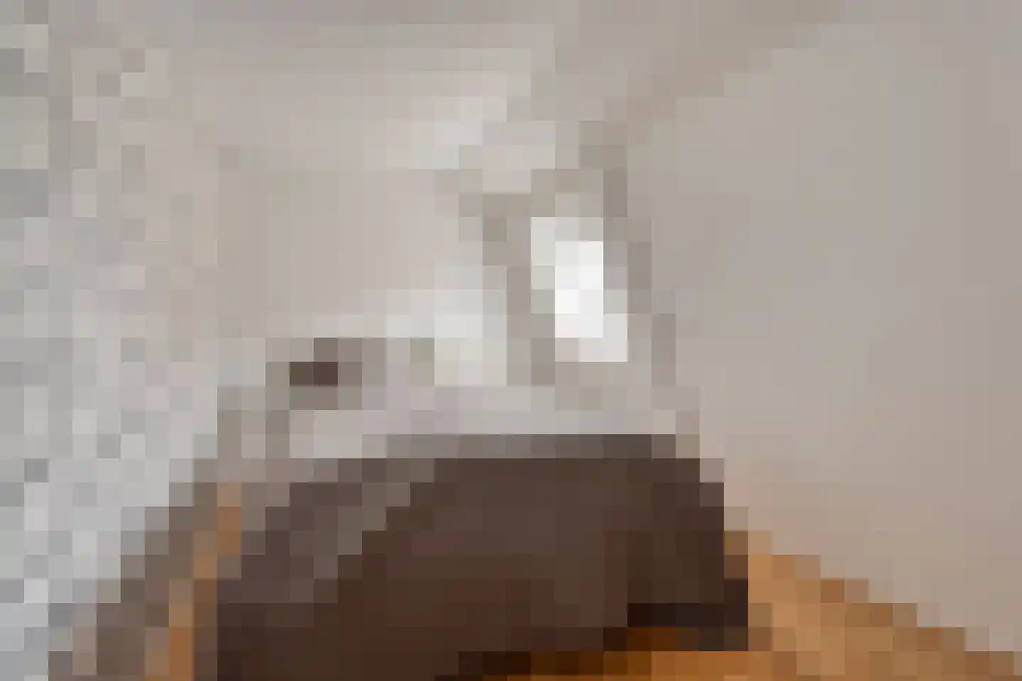 Doorsneeweg 35 Nieuwe Pekela thumbnail 34