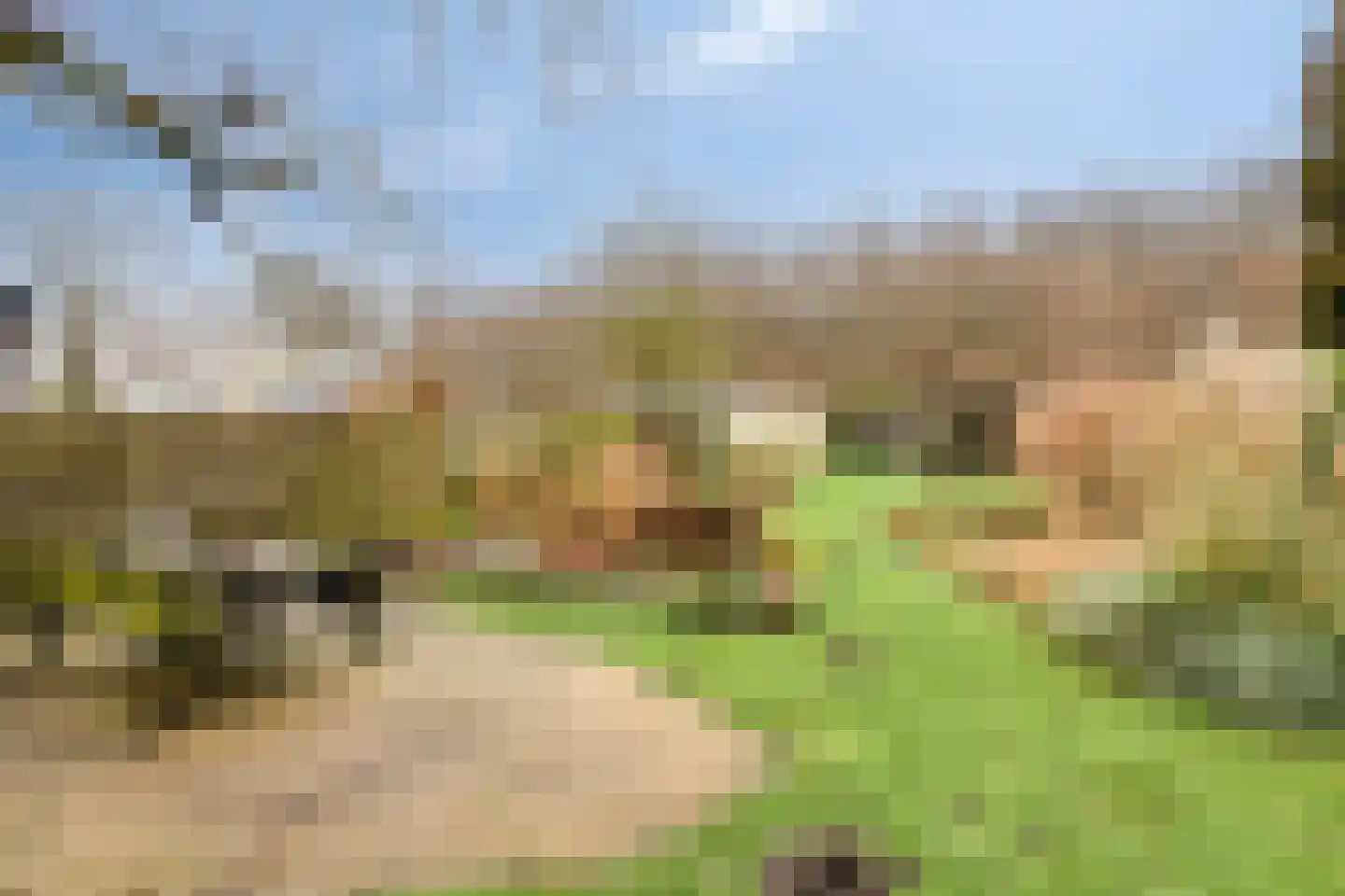 Doorsneeweg 35 Nieuwe Pekela thumbnail 41