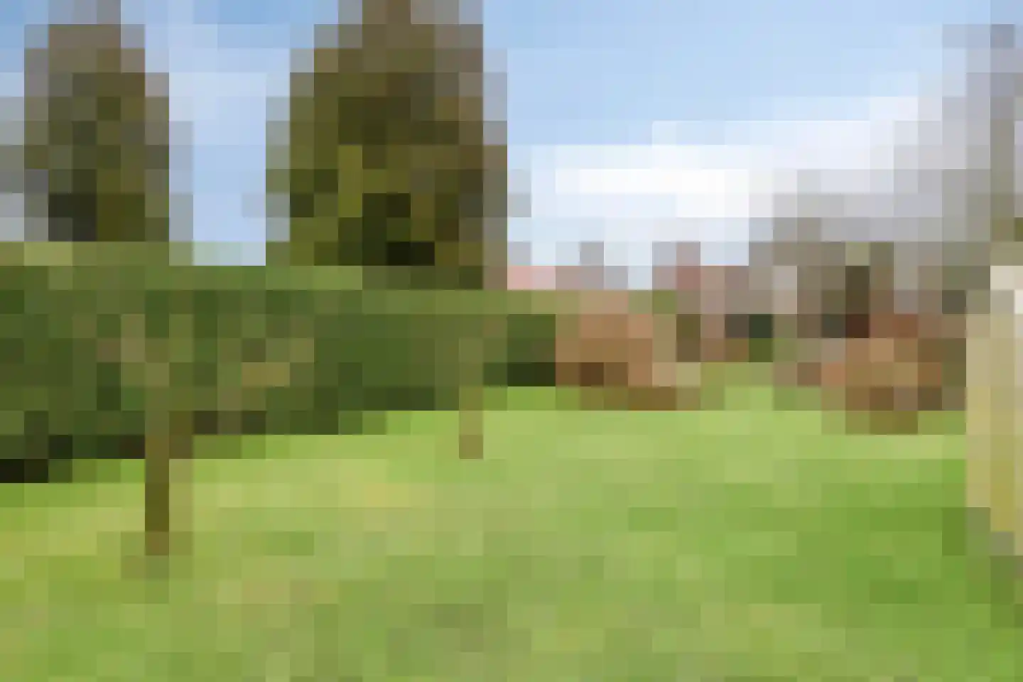 Doorsneeweg 35 Nieuwe Pekela thumbnail 43