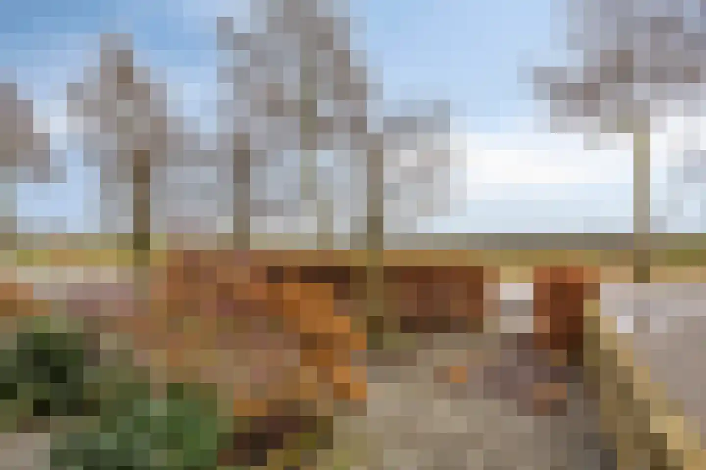 Doorsneeweg 35 Nieuwe Pekela thumbnail 5